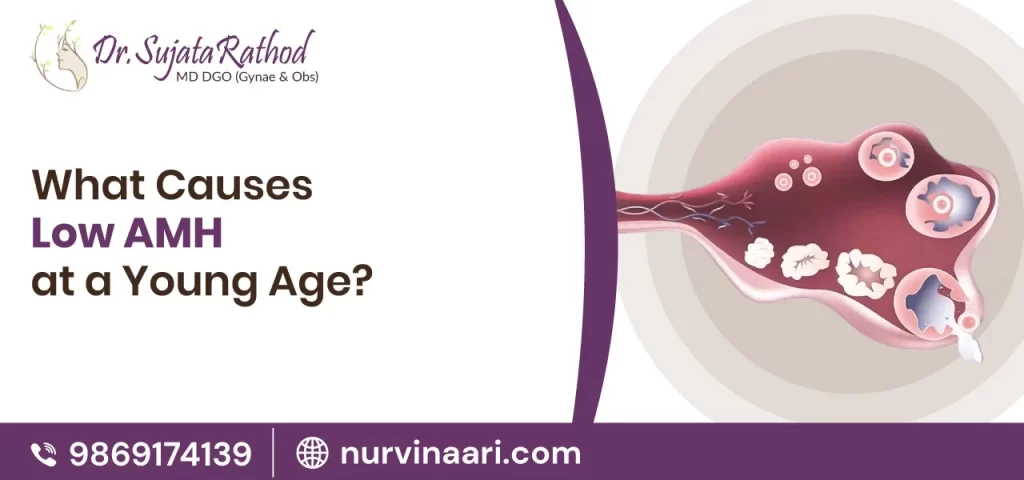 Low AMH at a Young Age? Know the Causes
